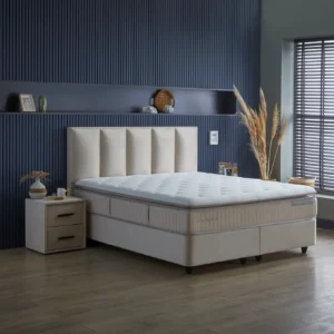 birdy-boxspring-agy-160x200-bezs